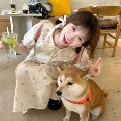 梦幻书院第七季